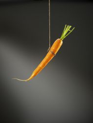 DIANNE AULD'S INCENTIVE DESIGN WORKSHOP