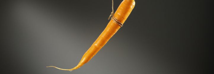 DIANNE AULD'S INCENTIVE DESIGN WORKSHOP