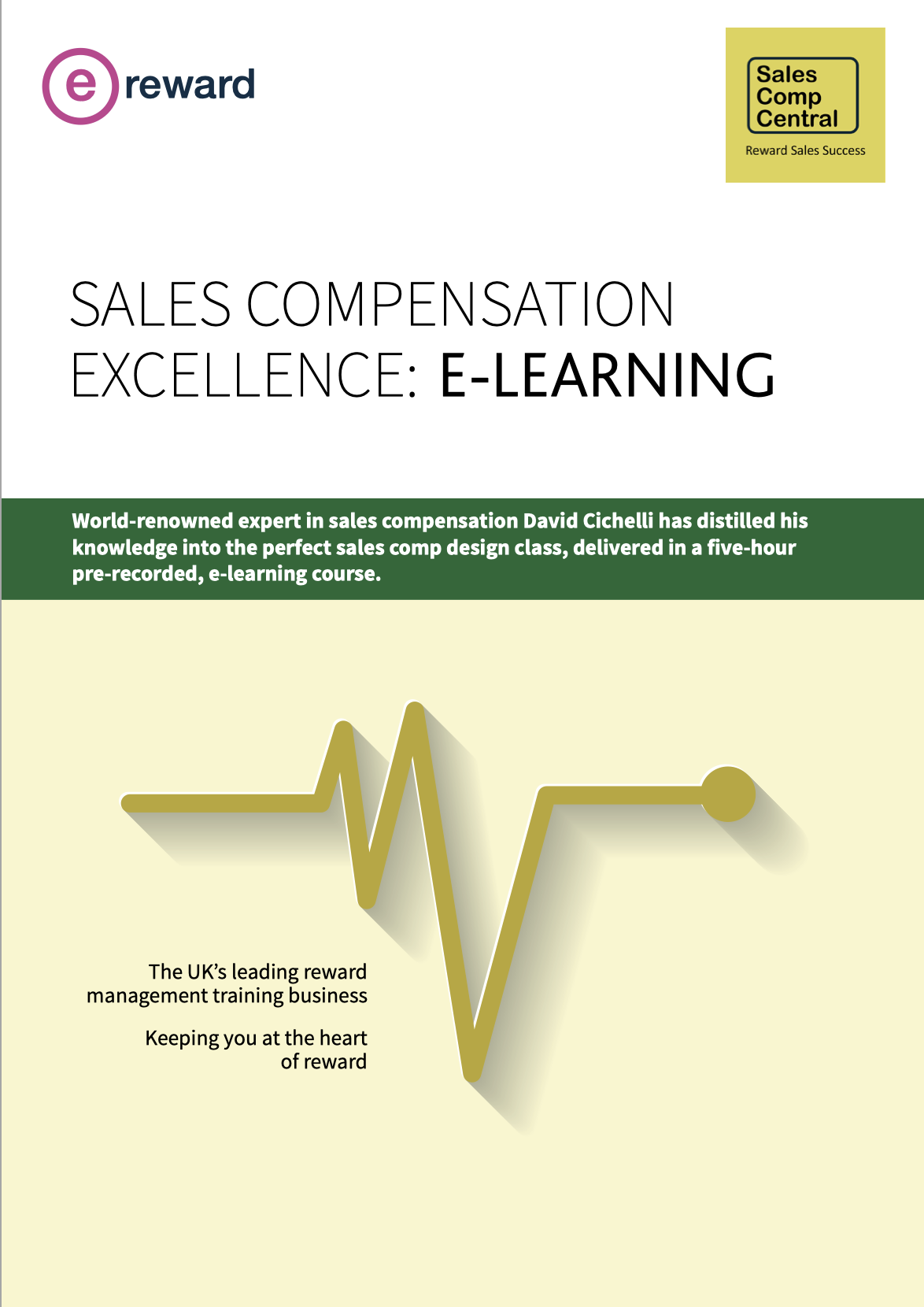 Sales comp excellence brochure